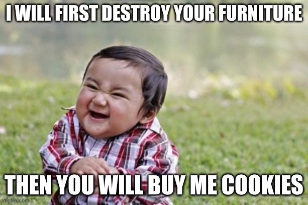Evil Toddler | I WILL FIRST DESTROY YOUR FURNITURE; THEN YOU WILL BUY ME COOKIES | image tagged in memes,evil toddler | made w/ Imgflip meme maker