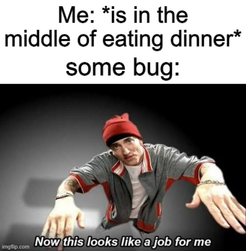 Based on a true story | Me: *is in the middle of eating dinner*; some bug: | image tagged in now this looks like a job for me | made w/ Imgflip meme maker