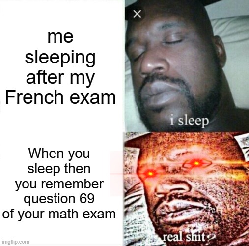 When you sleep then you remember question 69 of your math exam | me sleeping after my French exam; When you sleep then you remember question 69 of your math exam | image tagged in memes,sleeping shaq | made w/ Imgflip meme maker