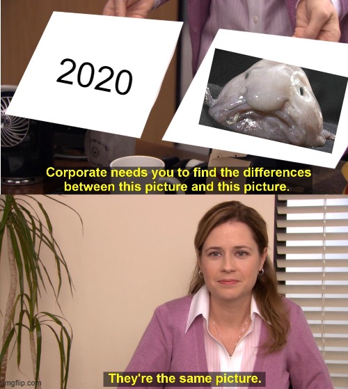 XD | 2020 | image tagged in memes,they're the same picture | made w/ Imgflip meme maker