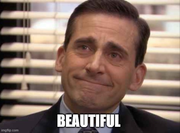 wholesome | BEAUTIFUL | image tagged in wholesome | made w/ Imgflip meme maker