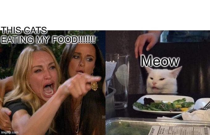 Woman Yelling At Cat | THIS CATS EATING MY FOOD!!!!!!! Meow | image tagged in memes,woman yelling at cat | made w/ Imgflip meme maker