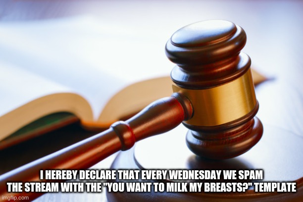 gavel | I HEREBY DECLARE THAT EVERY WEDNESDAY WE SPAM THE STREAM WITH THE "YOU WANT TO MILK MY BREASTS?" TEMPLATE | image tagged in gavel | made w/ Imgflip meme maker