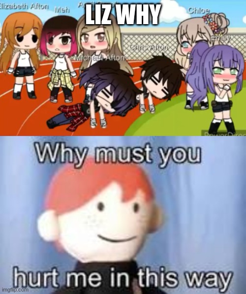Why | LIZ WHY | image tagged in why must you hurt me in this way | made w/ Imgflip meme maker
