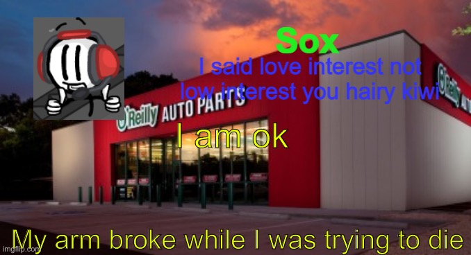 themanwiththeplan likes your cut | I am ok; My arm broke while I was trying to die | image tagged in themanwiththeplan likes your cut | made w/ Imgflip meme maker