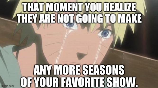 Finishing anime | THAT MOMENT YOU REALIZE THEY ARE NOT GOING TO MAKE; ANY MORE SEASONS OF YOUR FAVORITE SHOW. | image tagged in finishing anime | made w/ Imgflip meme maker