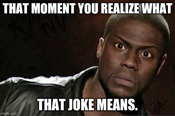 Kevin Hart Meme | THAT MOMENT YOU REALIZE WHAT; THAT JOKE MEANS. | image tagged in memes,kevin hart | made w/ Imgflip meme maker