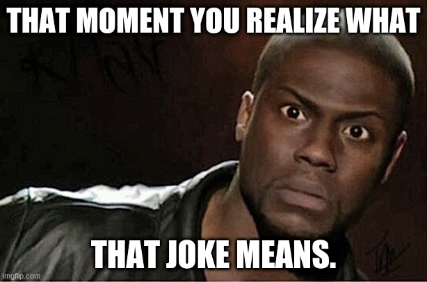 Kevin Hart | THAT MOMENT YOU REALIZE WHAT; THAT JOKE MEANS. | image tagged in memes,kevin hart | made w/ Imgflip meme maker