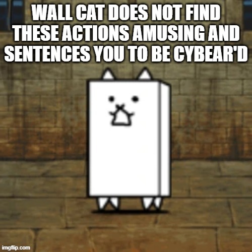 idk just a template | image tagged in wall cat does not find these actions amusing | made w/ Imgflip meme maker