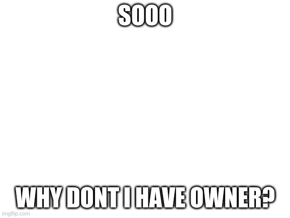 Sooooooooooooooooooooooooooooooooooooooooooooooooooooooooooooooooooooooooooooooooooooooooooooooooooooooooooooooooooooooooo | SOOO; WHY DONT I HAVE OWNER? | image tagged in blank white template | made w/ Imgflip meme maker