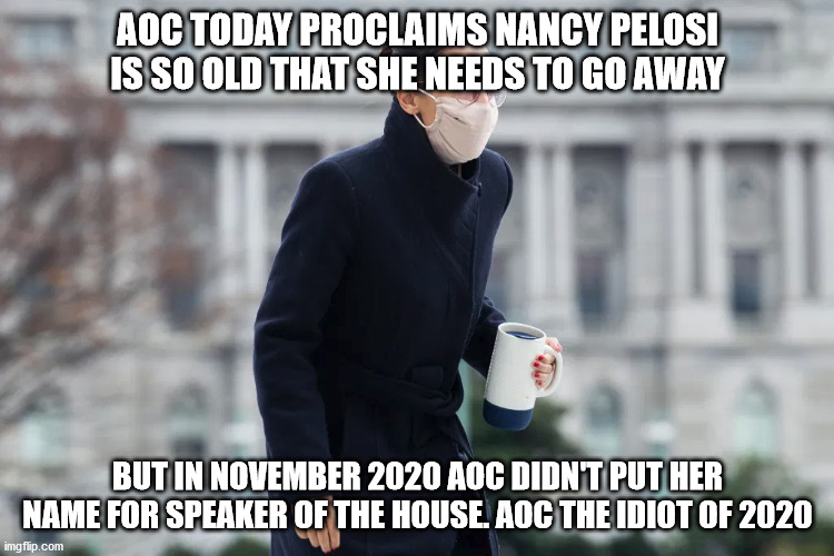 AOC america's version of dumb and dumber | AOC TODAY PROCLAIMS NANCY PELOSI IS SO OLD THAT SHE NEEDS TO GO AWAY; BUT IN NOVEMBER 2020 AOC DIDN'T PUT HER NAME FOR SPEAKER OF THE HOUSE. AOC THE IDIOT OF 2020 | image tagged in aoc,democrats,nancy pelosi,election 2020,cultural marxism | made w/ Imgflip meme maker