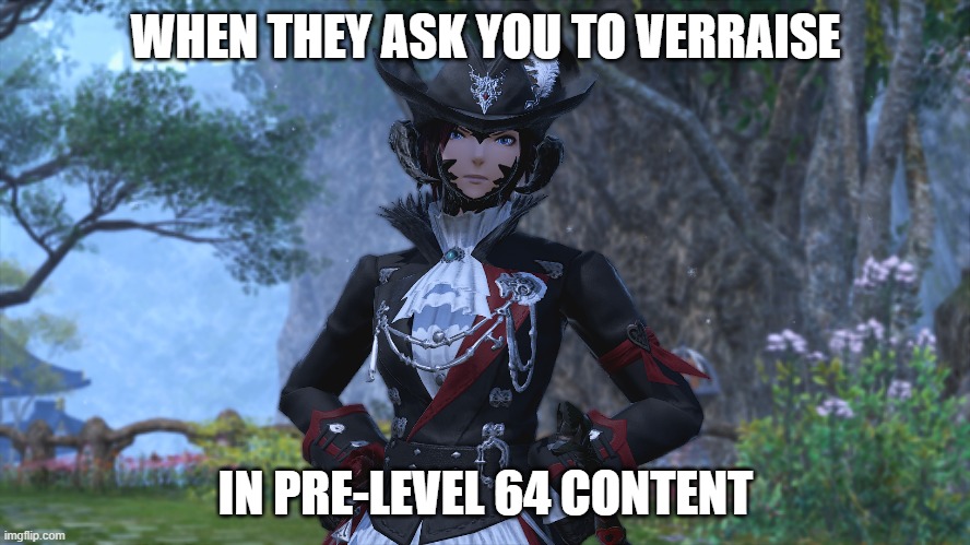 verraise | WHEN THEY ASK YOU TO VERRAISE; IN PRE-LEVEL 64 CONTENT | image tagged in meme | made w/ Imgflip meme maker