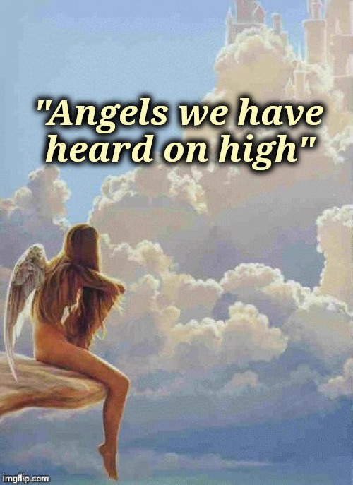 "Angels we have   
 heard on high" | image tagged in angel thoughts | made w/ Imgflip meme maker