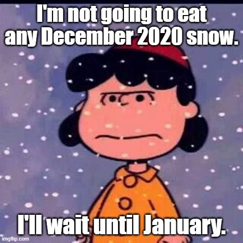 She'll wait until January like always. | I'm not going to eat any December 2020 snow. I'll wait until January. | image tagged in peanuts | made w/ Imgflip meme maker