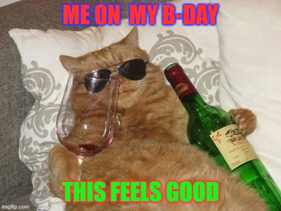 cat pic | ME ON  MY B-DAY; THIS FEELS GOOD | image tagged in funny cat birthday | made w/ Imgflip meme maker