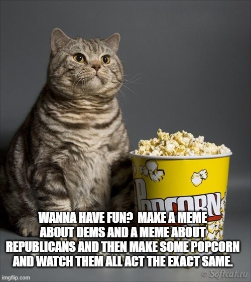 Cat eating popcorn | WANNA HAVE FUN?  MAKE A MEME ABOUT DEMS AND A MEME ABOUT REPUBLICANS AND THEN MAKE SOME POPCORN AND WATCH THEM ALL ACT THE EXACT SAME. | image tagged in cat eating popcorn | made w/ Imgflip meme maker