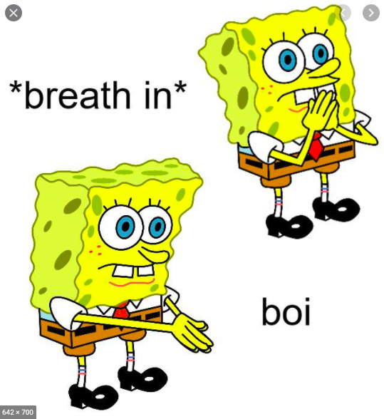 High Quality Spongebob boi Blank Meme Template