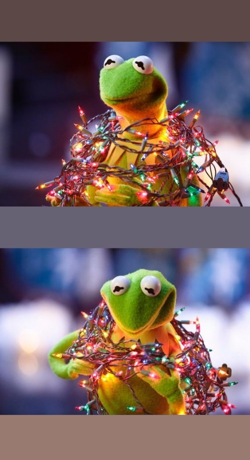High Quality kermit and christmas lights Blank Meme Template