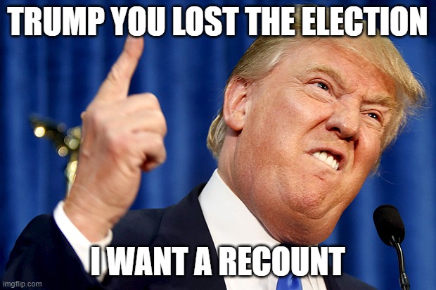 Donald Trump | TRUMP YOU LOST THE ELECTION; I WANT A RECOUNT | image tagged in donald trump | made w/ Imgflip meme maker