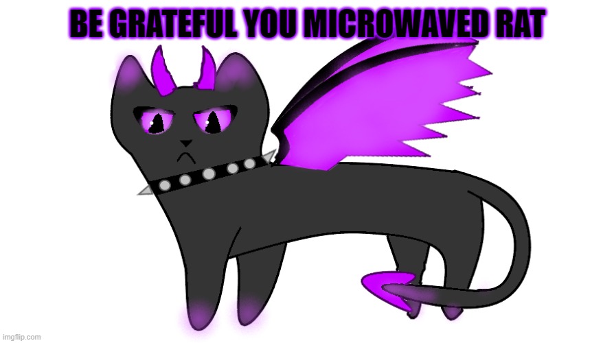 BE GRATEFUL YOU MICROWAVED RAT | image tagged in no context for you | made w/ Imgflip meme maker