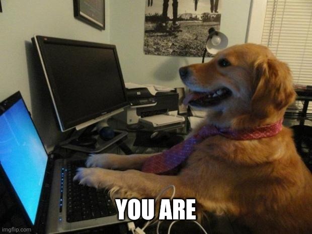 Dog behind a computer | YOU ARE | image tagged in dog behind a computer | made w/ Imgflip meme maker