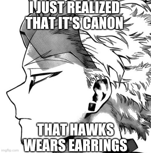  I JUST REALIZED THAT IT'S CANON; THAT HAWKS WEARS EARRINGS | image tagged in hawks,my hero academia,anime | made w/ Imgflip meme maker