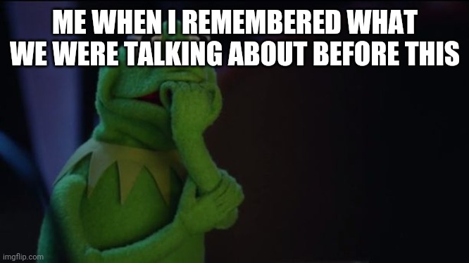 Kermit worried face | ME WHEN I REMEMBERED WHAT WE WERE TALKING ABOUT BEFORE THIS | image tagged in kermit worried face | made w/ Imgflip meme maker
