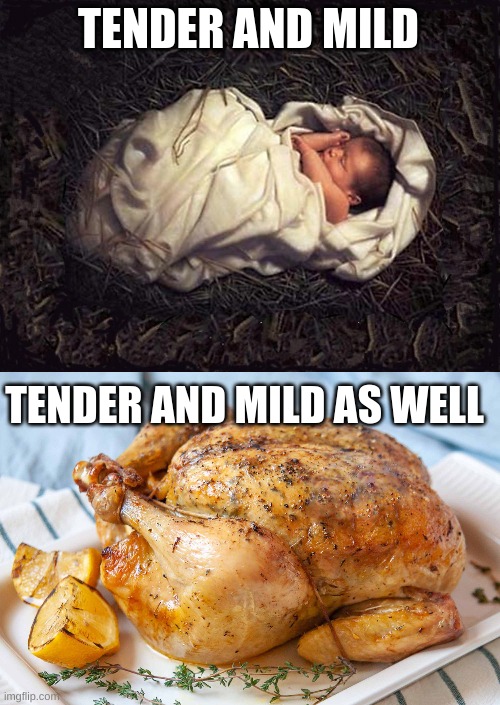 Tender And Mild | TENDER AND MILD; TENDER AND MILD AS WELL | image tagged in chicken,jesus,comparison,offensive,weird | made w/ Imgflip meme maker
