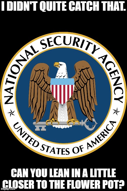 NSA Puns | I DIDN'T QUITE CATCH THAT. CAN YOU LEAN IN A LITTLE CLOSER TO THE FLOWER POT? | image tagged in nsa puns | made w/ Imgflip meme maker