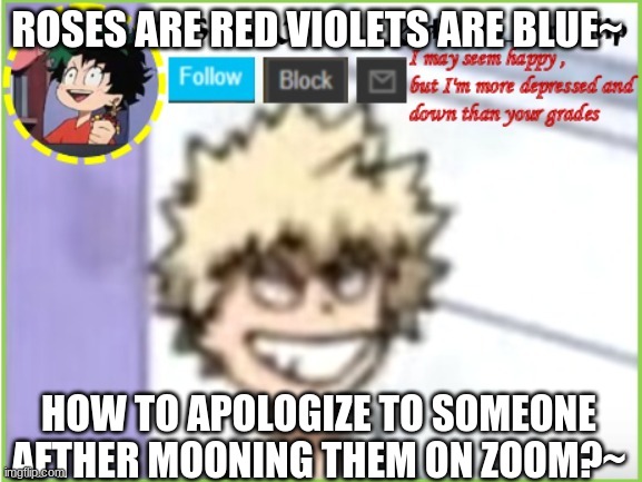 H e l p- | ROSES ARE RED VIOLETS ARE BLUE~; HOW TO APOLOGIZE TO SOMEONE AFTHER MOONING THEM ON ZOOM?~ | image tagged in some_bored_kid_on_imgflip | made w/ Imgflip meme maker