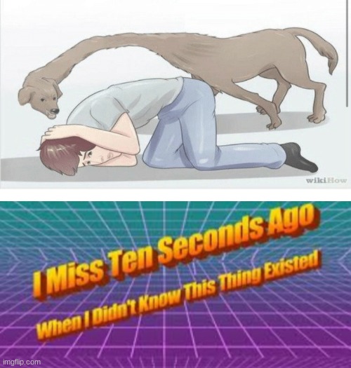 My eyes need bleach | image tagged in i miss ten seconds ago | made w/ Imgflip meme maker