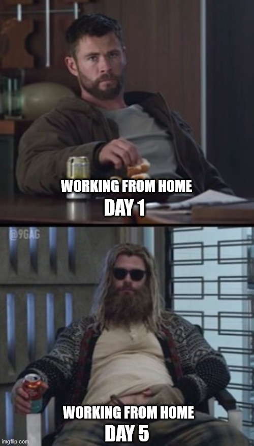Working from Home during Covid Coronavirus | WORKING FROM HOME; DAY 1; WORKING FROM HOME; DAY 5 | image tagged in covid19 | made w/ Imgflip meme maker