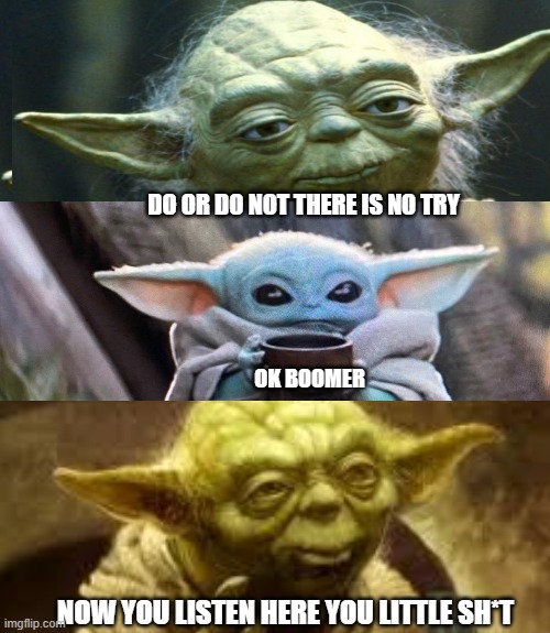 mad yoda | DO OR DO NOT THERE IS NO TRY; OK BOOMER; NOW YOU LISTEN HERE YOU LITTLE SH*T | image tagged in memes,star wars yoda | made w/ Imgflip meme maker
