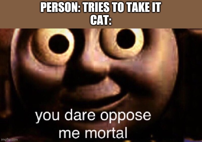 You dare oppose me mortal | PERSON: TRIES TO TAKE IT
CAT: | image tagged in you dare oppose me mortal | made w/ Imgflip meme maker