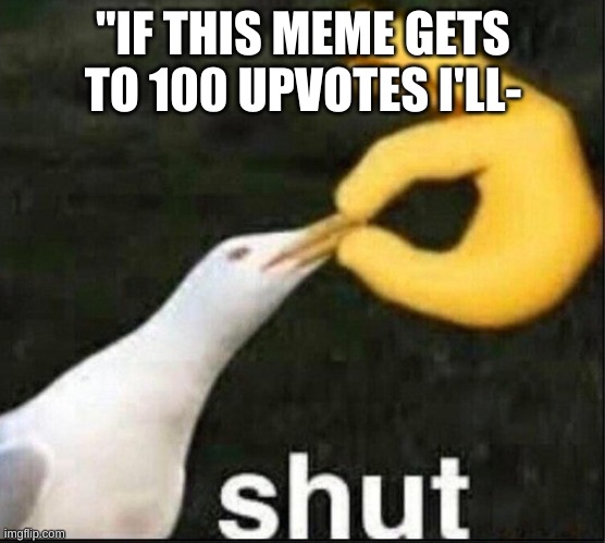 srsly tho | "IF THIS MEME GETS TO 100 UPVOTES I'LL- | image tagged in seagull shut meme | made w/ Imgflip meme maker