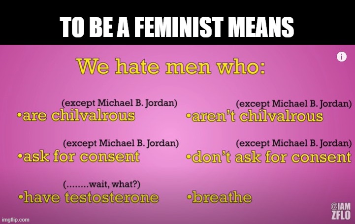 To be a feminist means | TO BE A FEMINIST MEANS | image tagged in funny,feminism | made w/ Imgflip meme maker