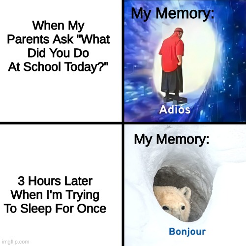 Adios Bonjour | My Memory:; When My Parents Ask "What Did You Do At School Today?"; My Memory:; 3 Hours Later When I'm Trying To Sleep For Once | image tagged in adios bonjour | made w/ Imgflip meme maker