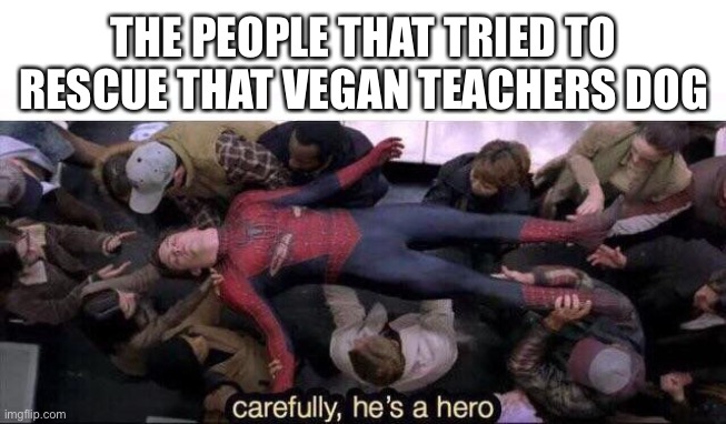 F in the chat | THE PEOPLE THAT TRIED TO RESCUE THAT VEGAN TEACHERS DOG | image tagged in carefully he's a hero | made w/ Imgflip meme maker