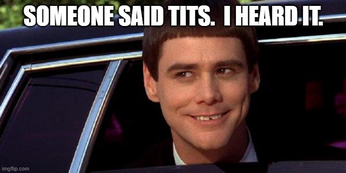 dumb and dumber | SOMEONE SAID TITS.  I HEARD IT. | image tagged in dumb and dumber | made w/ Imgflip meme maker