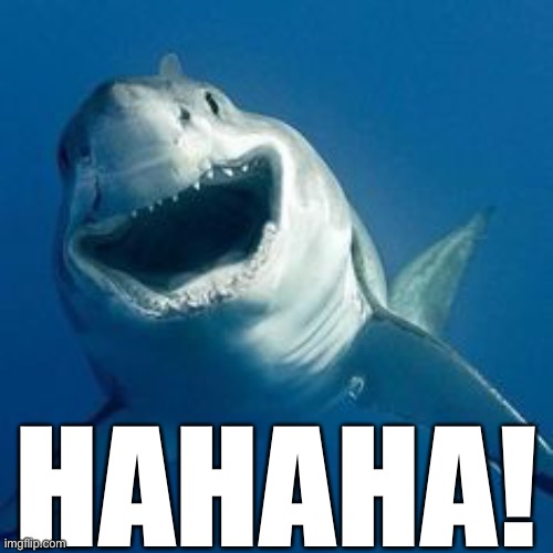 HAHAHA! | made w/ Imgflip meme maker