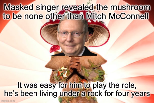 Masked Singer | Masked singer revealed the mushroom to be none other than Mitch McConnell; It was easy for him to play the role, he’s been living under a rock for four years | image tagged in memes,masked singer,mitch mcconnell | made w/ Imgflip meme maker