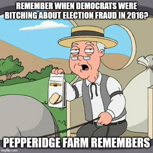 we just didn't cheat enough in 2016 | REMEMBER WHEN DEMOCRATS WERE BITCHING ABOUT ELECTION FRAUD IN 2016? PEPPERIDGE FARM REMEMBERS | image tagged in memes,pepperidge farm remembers,liberal hypocrisy,2016 election,trump russia,election fraud | made w/ Imgflip meme maker