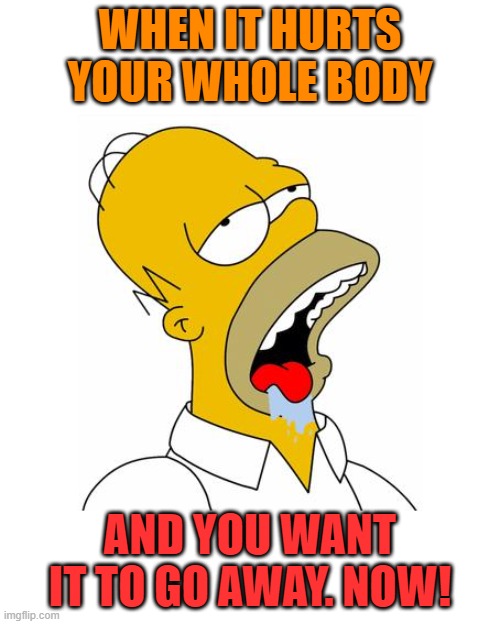 Homer Simpson Drooling |  WHEN IT HURTS YOUR WHOLE BODY; AND YOU WANT IT TO GO AWAY. NOW! | image tagged in homer simpson drooling | made w/ Imgflip meme maker