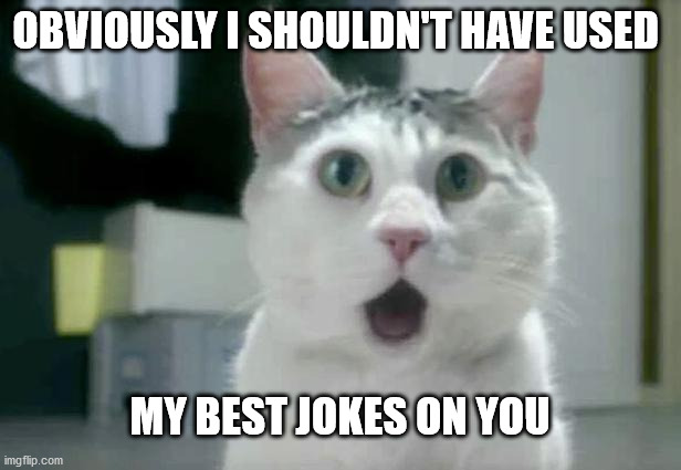 OMG Cat | OBVIOUSLY I SHOULDN'T HAVE USED; MY BEST JOKES ON YOU | image tagged in memes,omg cat | made w/ Imgflip meme maker