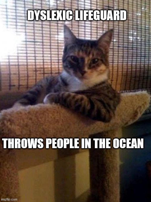 The Most Interesting Cat In The World | DYSLEXIC LIFEGUARD; THROWS PEOPLE IN THE OCEAN | image tagged in memes,the most interesting cat in the world | made w/ Imgflip meme maker