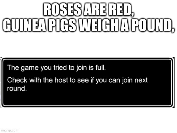 Blank White Template | ROSES ARE RED, GUINEA PIGS WEIGH A POUND, | image tagged in blank white template | made w/ Imgflip meme maker