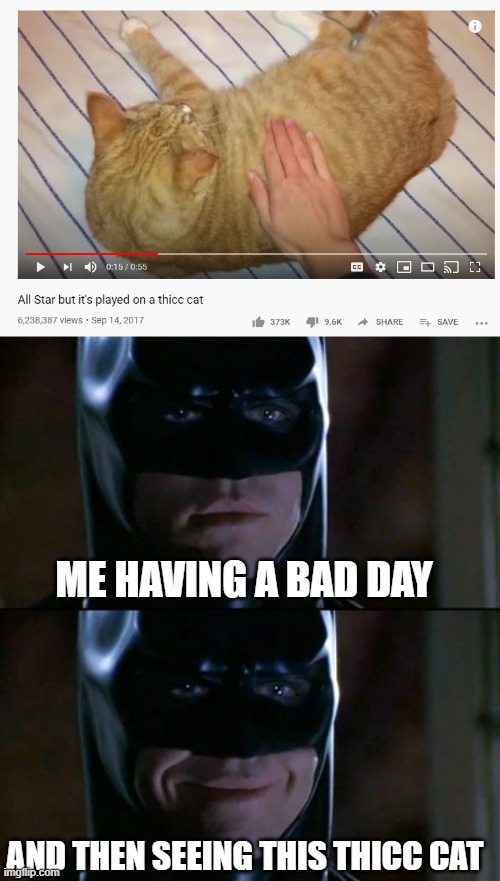 Damn boi, he thicc | ME HAVING A BAD DAY; AND THEN SEEING THIS THICC CAT | image tagged in memes,batman smiles,cat,thicc | made w/ Imgflip meme maker