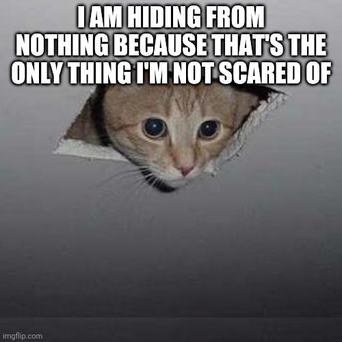 Nothing at all | I AM HIDING FROM NOTHING BECAUSE THAT'S THE ONLY THING I'M NOT SCARED OF | image tagged in memes,ceiling cat | made w/ Imgflip meme maker