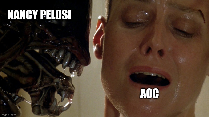 ripley-aliens | NANCY PELOSI; AOC | image tagged in ripley-aliens | made w/ Imgflip meme maker