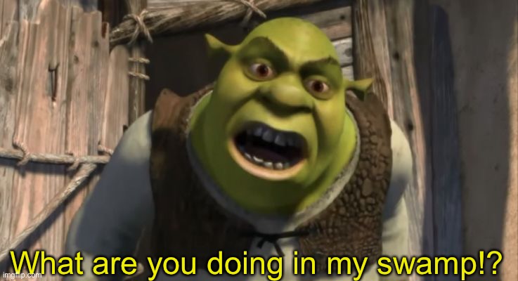 Shrek What are you doing in my swamp? | What are you doing in my swamp!? | image tagged in shrek what are you doing in my swamp | made w/ Imgflip meme maker